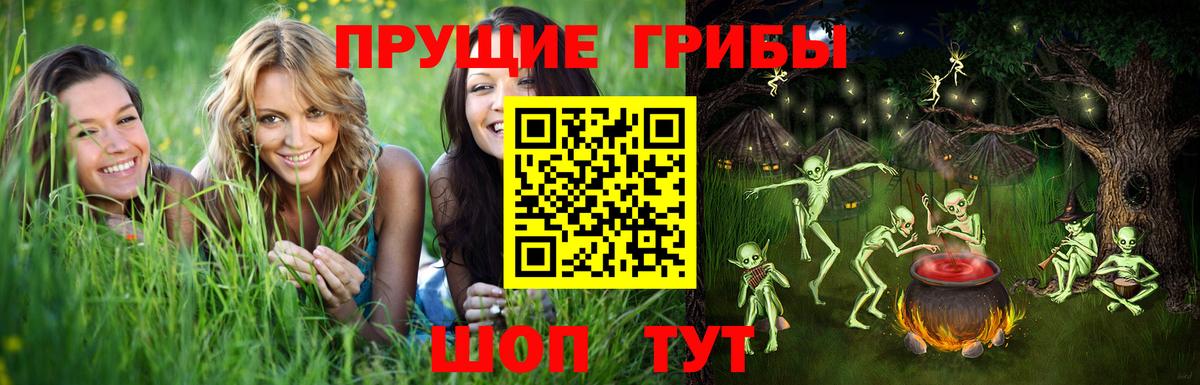 Вязьма  Псилоцибиновые грибы Psilocybine cubensis  Галлюциногенные грибы Psilocybine cubensis  Вход с VPN 